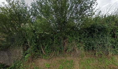 TLJ BAT | Electricien à Cerisy-la-Fôret, Electricien à Cerisy-la-Forêt