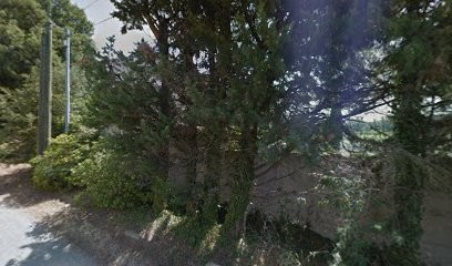 Delubac Michel, Electricien à Pernes-les-Fontaines