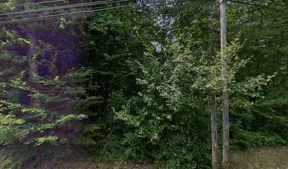 Delongeas Christophe, Electricien à Sarliac-sur-l'Isle