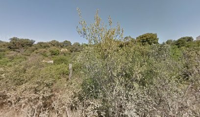 SSE Hérault, Electricien à Vic-la-Gardiole