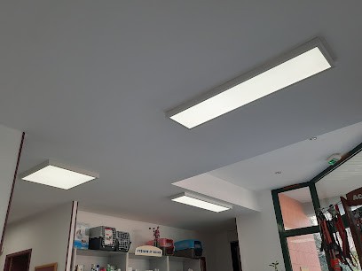 Ce.Proelec, Electricien à Mirepeisset