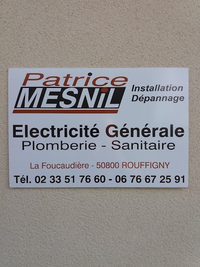 Mesnil Patrice, Electricien à Villedieu-les-Poêles-Rouffigny