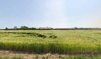 Occitan'Elec, Electricien à Rabastens
