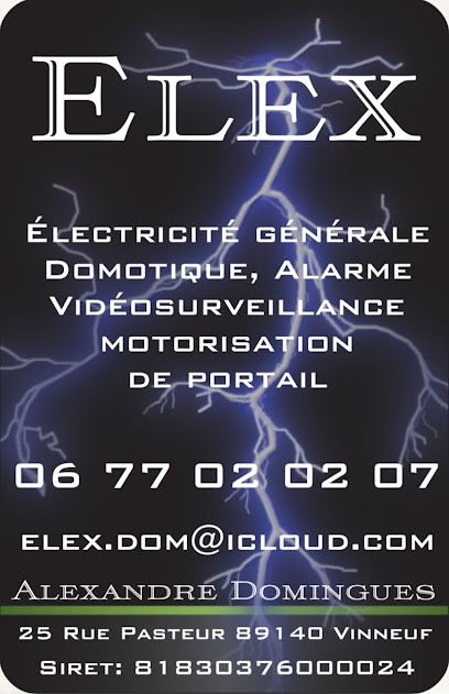 ELEX - Artisan électricien, Electricien à Vinneuf