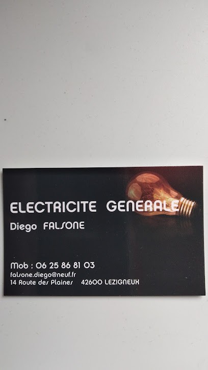 Diego FALSONE ELECTRICITE GENERALE, Electricien à Lézigneux