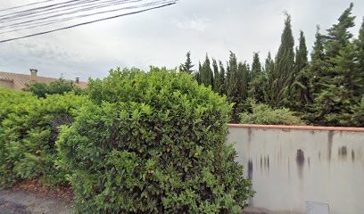 Wattwood, Electricien à Ille-sur-Têt