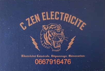 C ZEN ELECTRICITE, Electricien à Dardilly