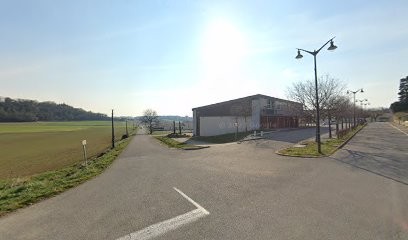 Cadet Michel, Electricien à Savasse