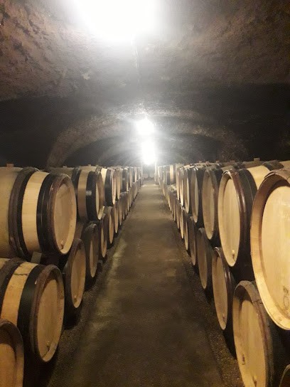 Eurl Michel Larose Et Fils, Electricien à Meursault