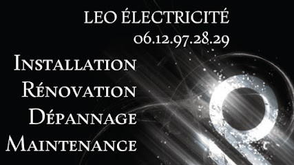 Leo électricité générale, Electricien à Saint-Gibrien