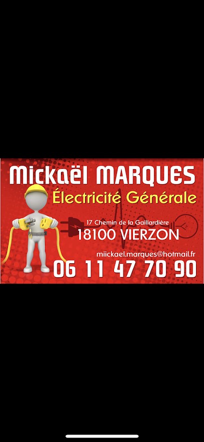 Mickael Marques, Electricien à Vierzon