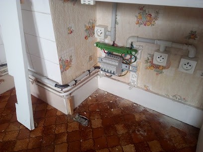 VIGUIE ELEC E.I., Electricien à Courmangoux