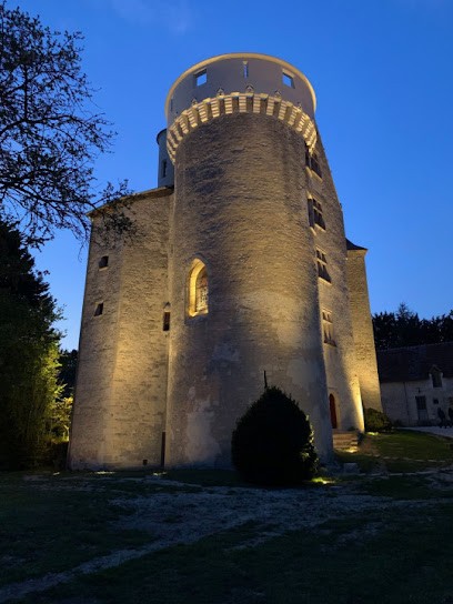 Forge-Crechet, Electricien à Saint-Senoch