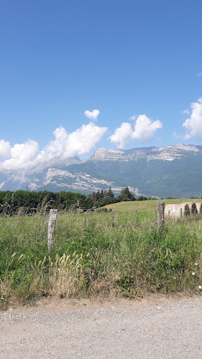 A contre-courant, Electricien à Champagnier