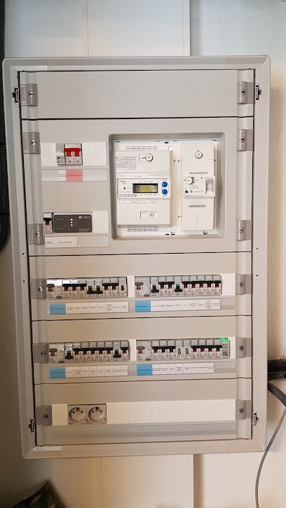 DELMAX, Electricien à Gambsheim
