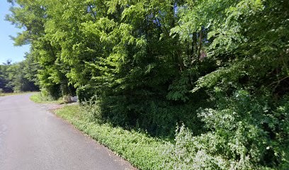 Saule Gilles Sarl, Electricien à Malemort
