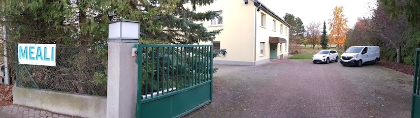MEALI, Electricien à Romanswiller