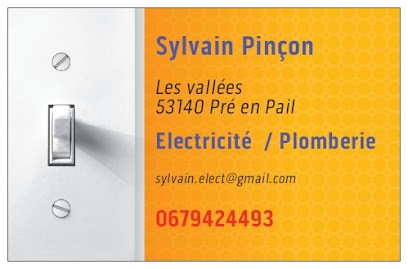 Sylvain Pinçon, Electricien à Pré-en-Pail-Saint-Samson
