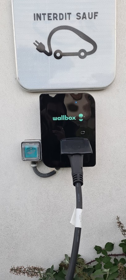 UNITED BORNE, Electricien à Yzernay