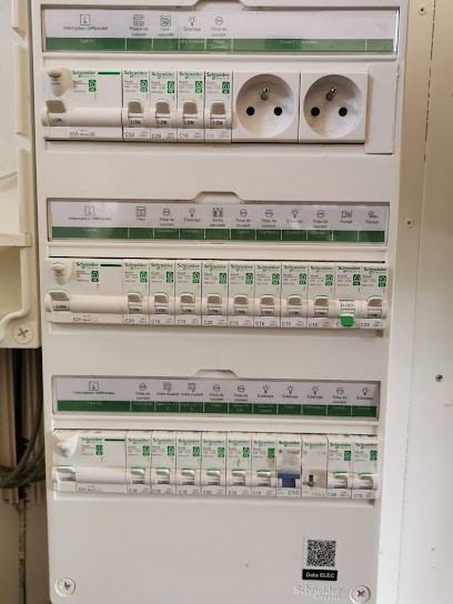 EURL Florian Guglielmone Elec, Electricien à Rumilly