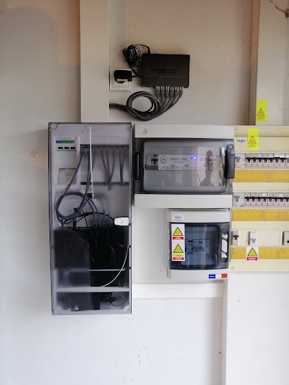 Soliveres Remy, Electricien à Pins-Justaret