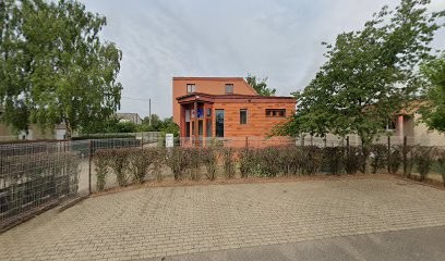 Domo'elek, Electricien à Sausheim