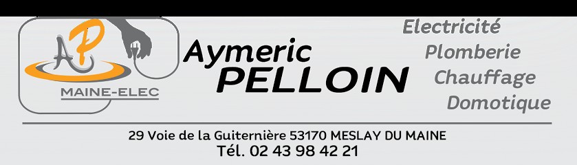 Entreprise PELLOIN Aymeric, Electricien à Meslay-du-Maine