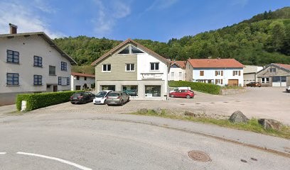 Pierrel Régis Sarl, Electricien à La Bresse