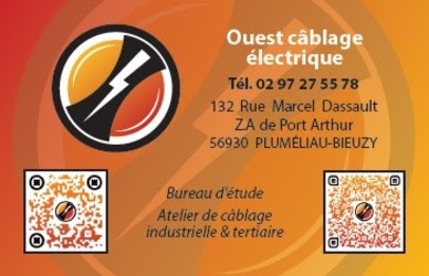 ouest cablâge électrique, Electricien à Pluméliau