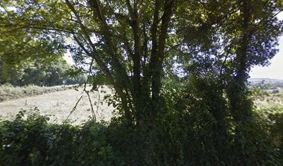 HOME RENOV', Electricien aux Authieux-Papion